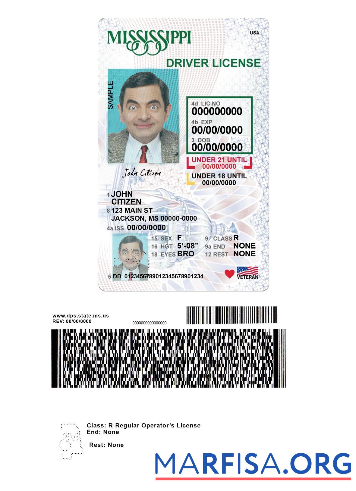 Printable USA Mississippi driving license under 21 sample